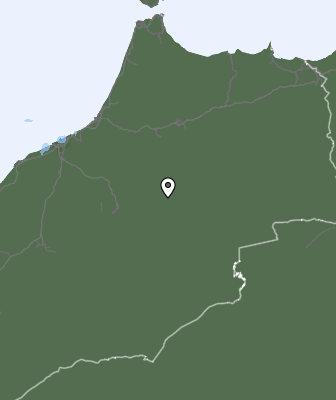 Niederschlagsprognose