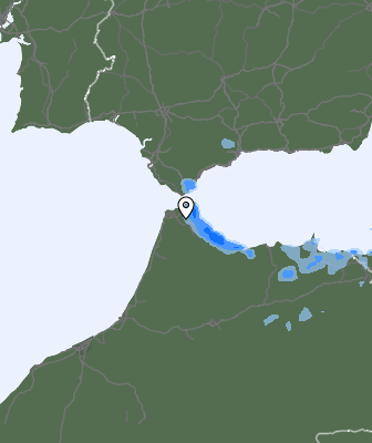 Neerslag