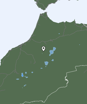 Precipitaţii
