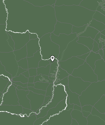Niederschlagsprognose