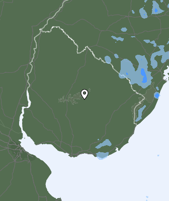 Neerslag