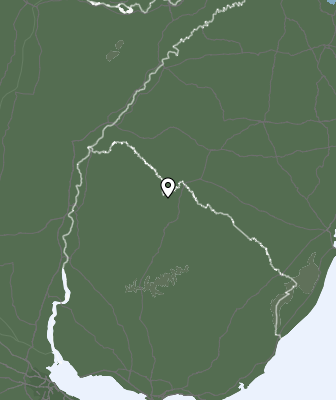 Neerslag