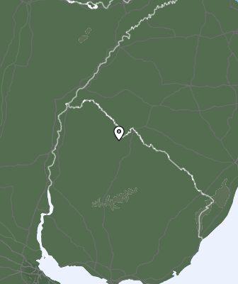 Neerslag