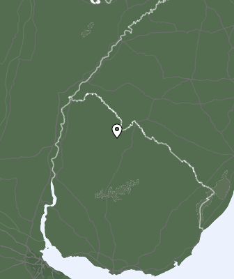 Neerslag