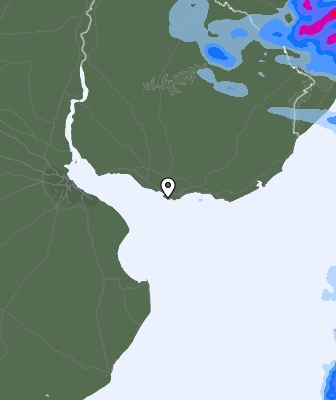Валежи