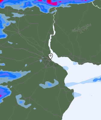 Валежи