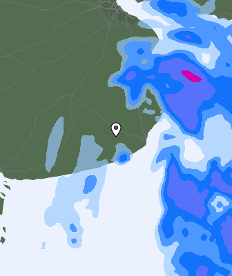 Precipitazioni
