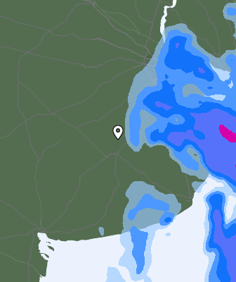 Precipitazioni