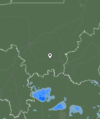 Валежи