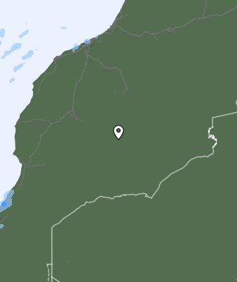 Niederschlagsprognose