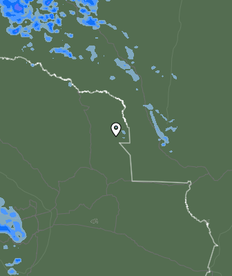 Валежи