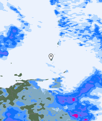Валежи