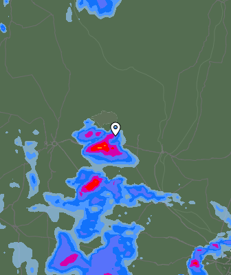 Валежи