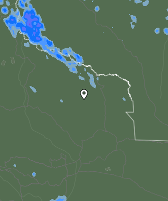 Валежи