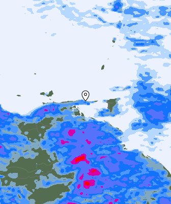 Валежи