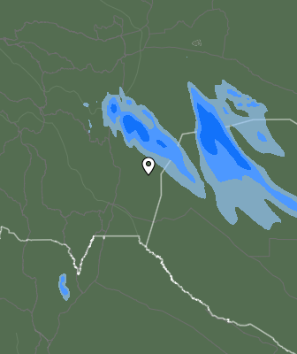 Валежи