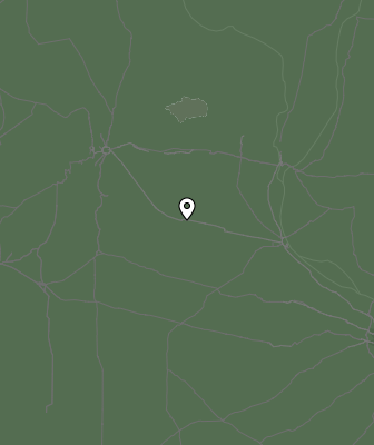 Валежи