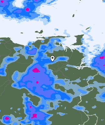 Niederschlagsprognose