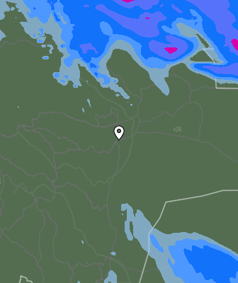Валежи