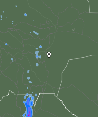 Валежи