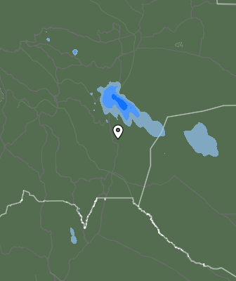 Валежи