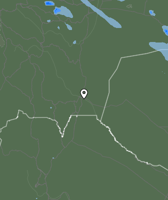 Валежи