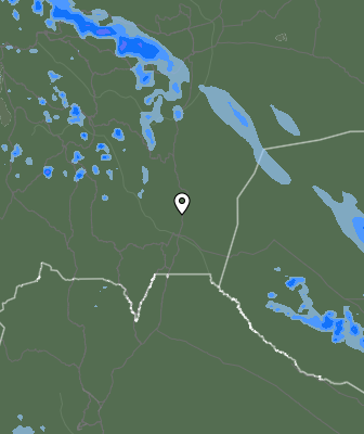 Валежи