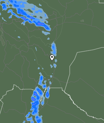 Валежи