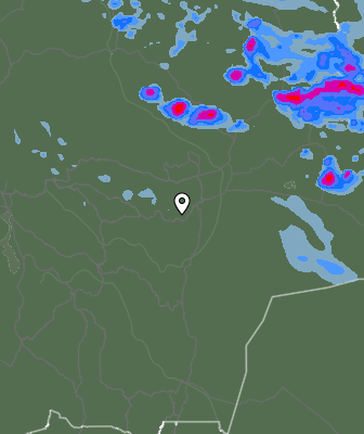 Валежи