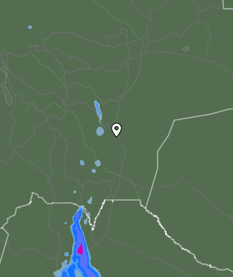 Валежи