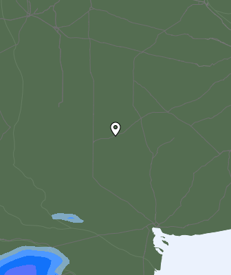 Валежи