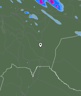 Валежи