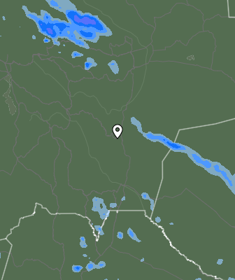 Валежи