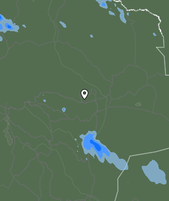 Валежи
