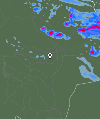 Валежи