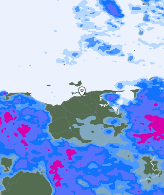 Валежи