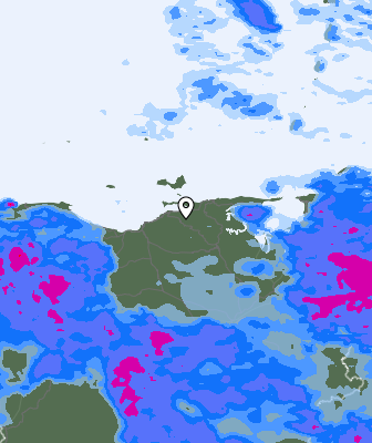 Валежи
