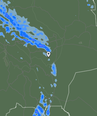 Валежи