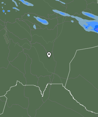 Валежи
