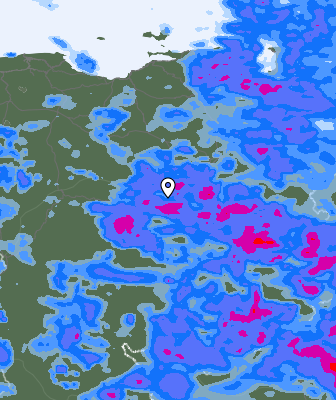 Niederschlagsprognose