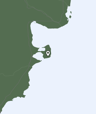 Neerslag