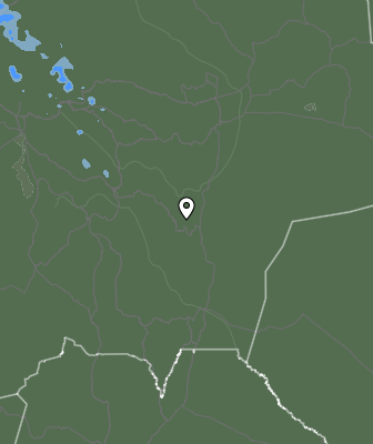 Валежи