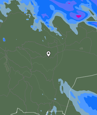 Валежи