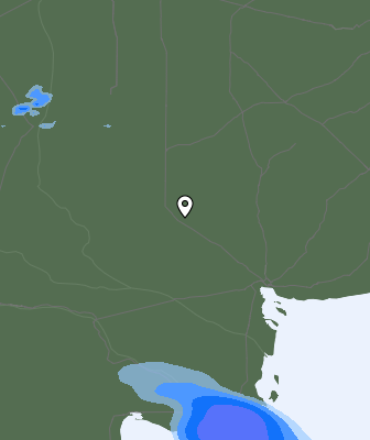 Валежи