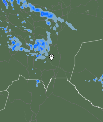 Валежи