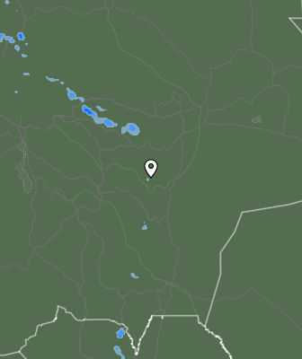 Валежи