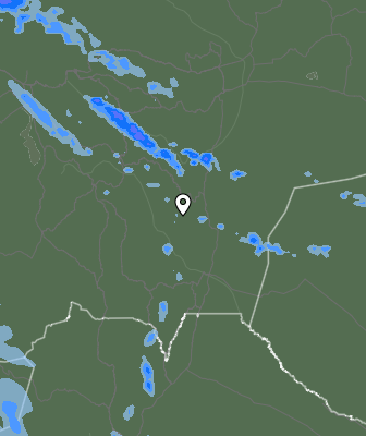 Валежи