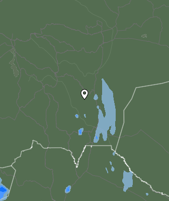 Валежи
