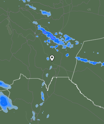 Валежи