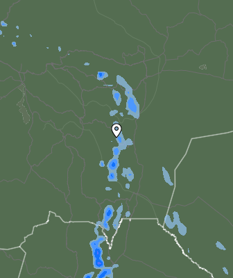 Валежи